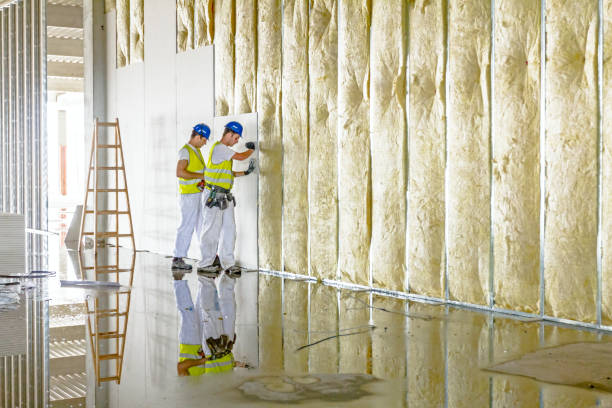Best Residential Insulation in Conesus Lake, NY